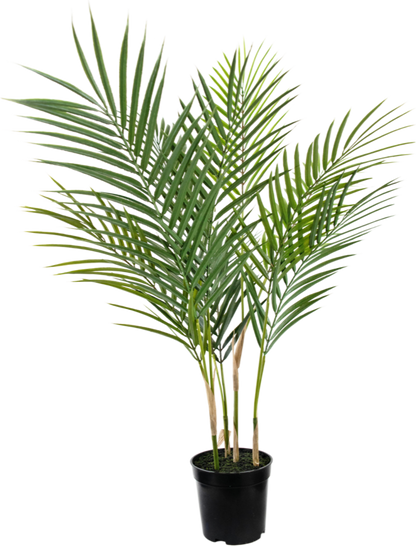 Kunstpalm Chamaedorea 71 cm