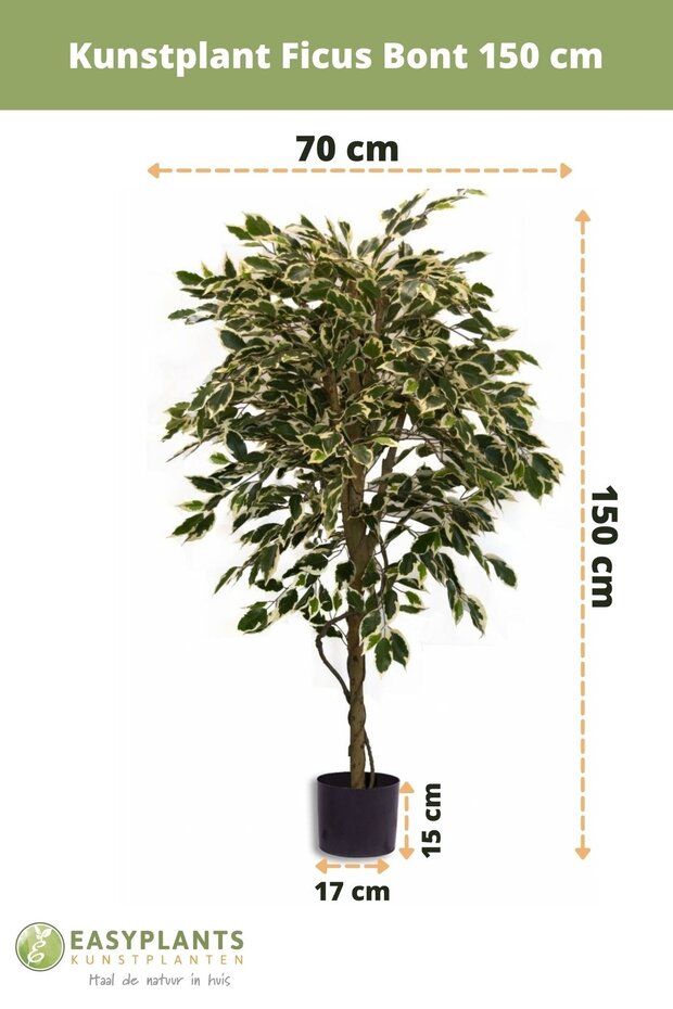 Kunstplant Ficus Bont 150 cm