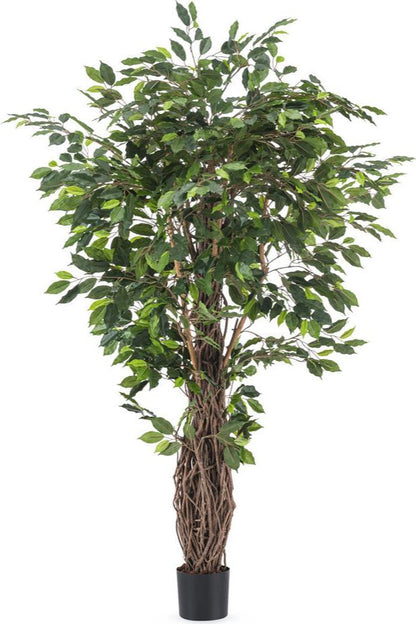 Kunstplant Ficus Tropical  Liana 180 cm