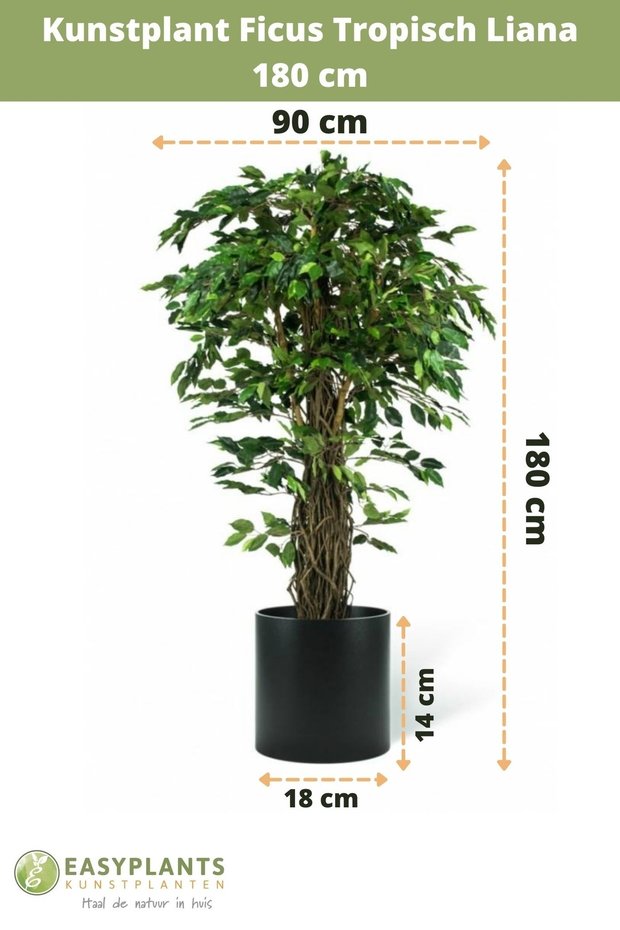 Kunstplant Ficus Tropical  Liana 180 cm