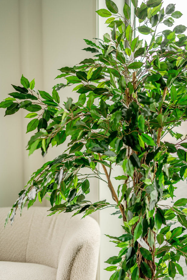 kunstplant-ficus-tropical-liana-180-cm-10306