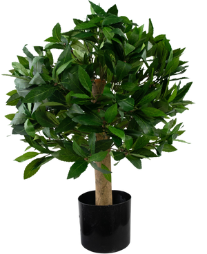 Kunstplant Laurier d40 cm UV