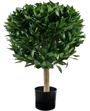 Kunstplant Laurier d55 cm UV
