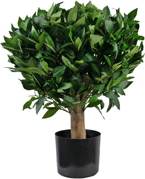 Kunstplant Laurier d65 cm UV