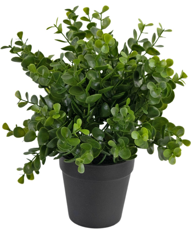 Kunstplant Pumila 25 cm