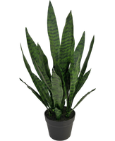 Kunstplant Sansevieria Zeylanica 71 cm