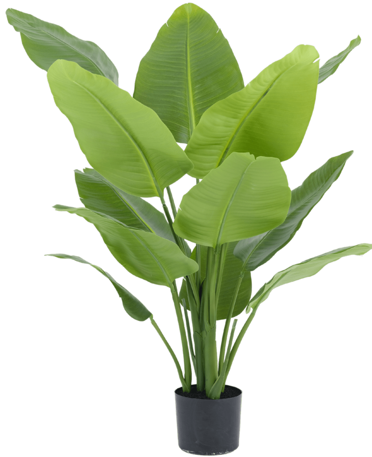 Kunstplant Strelitzia Real Touch Deluxe 120 cm