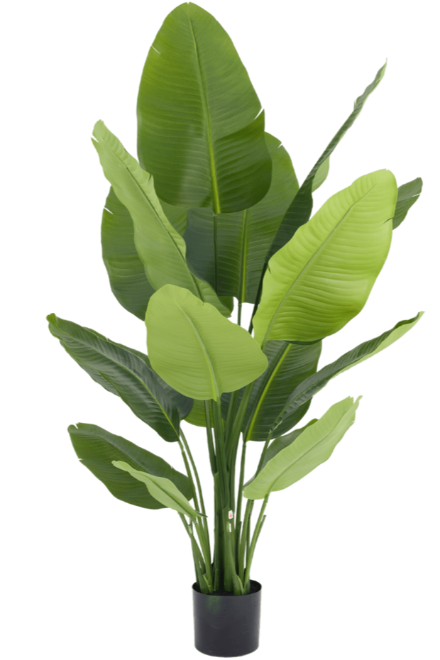 Kunstplant Strelitzia Real Touch Deluxe 150 cm