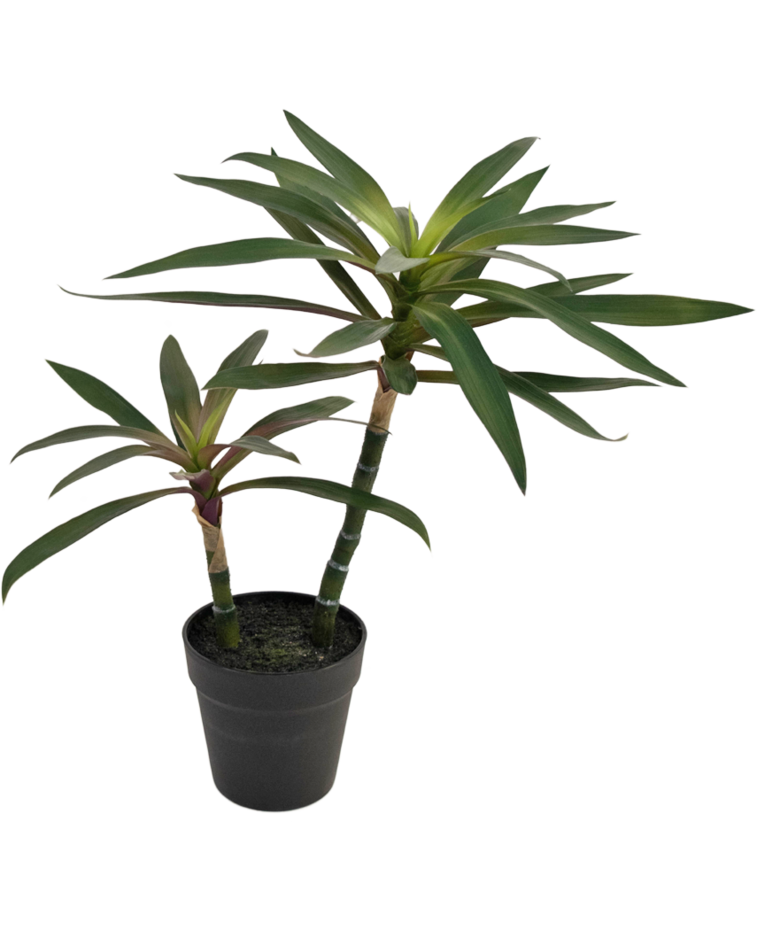 Kunstplant Yucca gigantea 53 cm