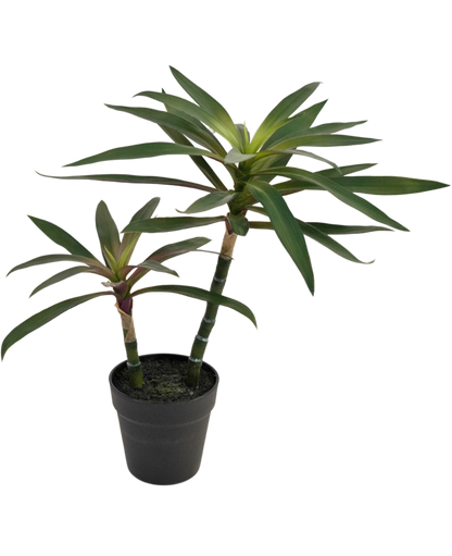 Kunstplant Yucca gigantea 53 cm