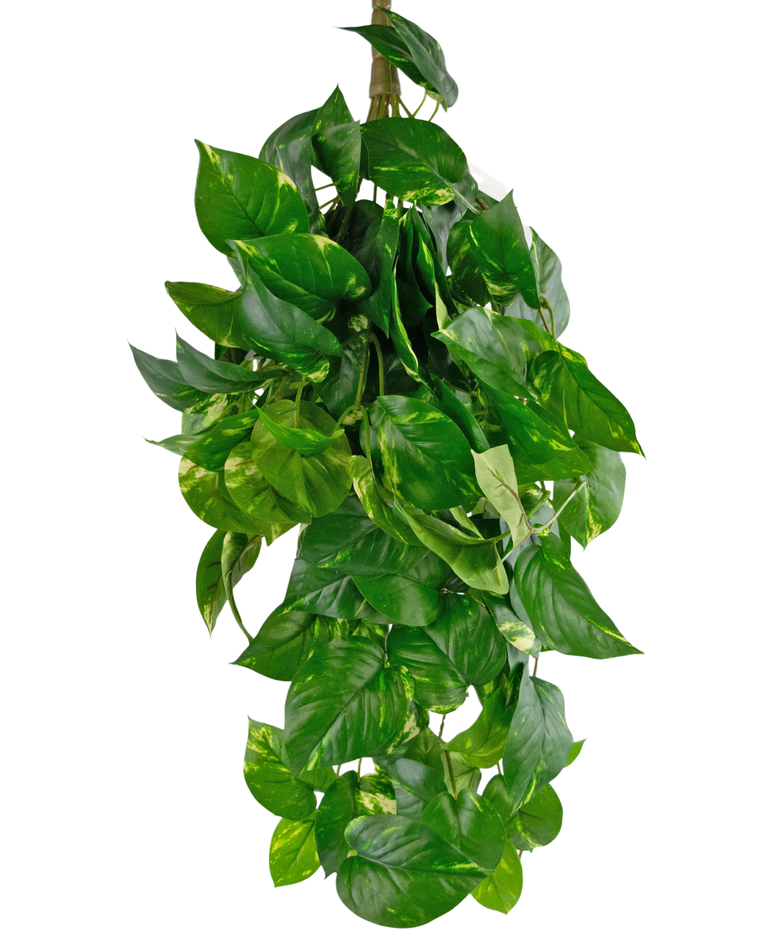 Hangende Golden Vine Deluxe 80 cm