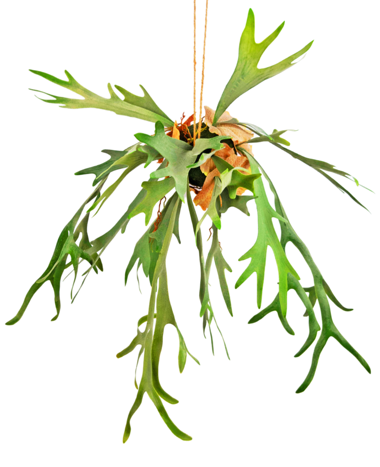 kunst-hangplant-staghorn-op-bal-89-cm-321136