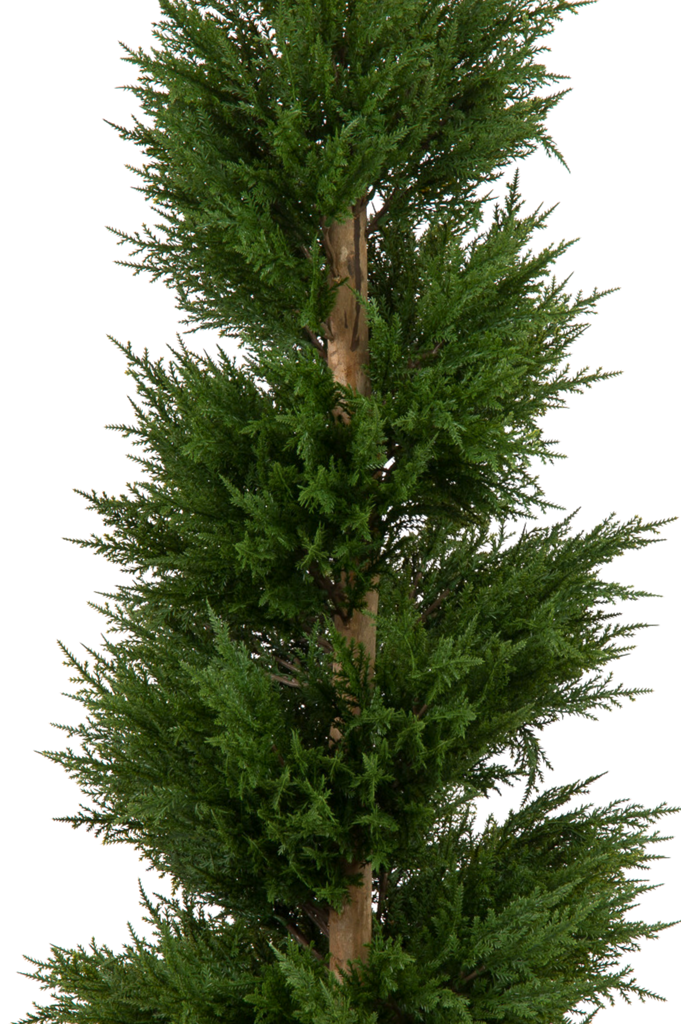 Luxe kunst Thuja spiraalboom voor buiten