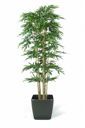 Kunstplant voor binnen van 3 meter