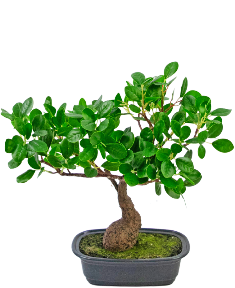 Kunstplant Bonsai Ficus 30 cm