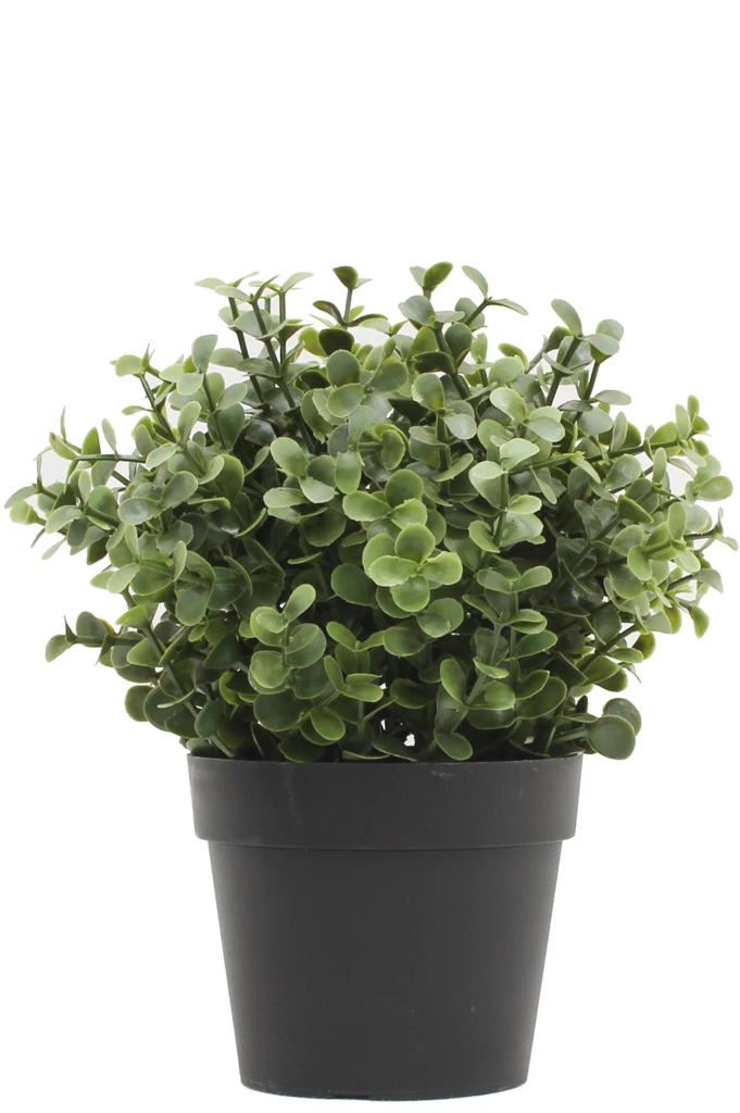 Kunstplant Buxus in groene pot