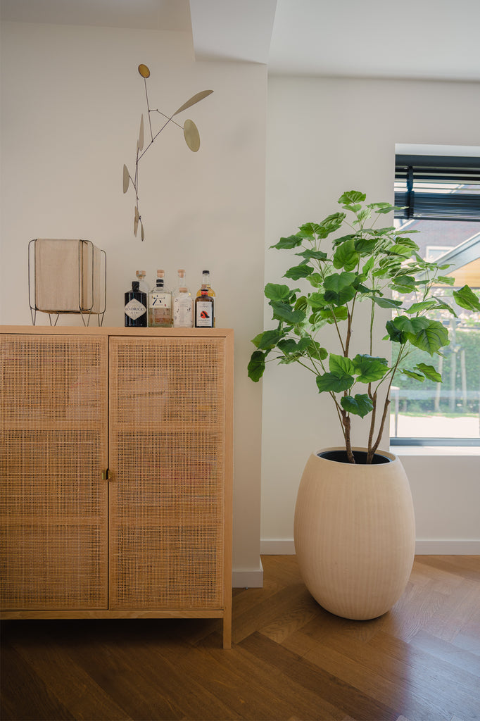 Decoratieve nep ficus plant voor binnen