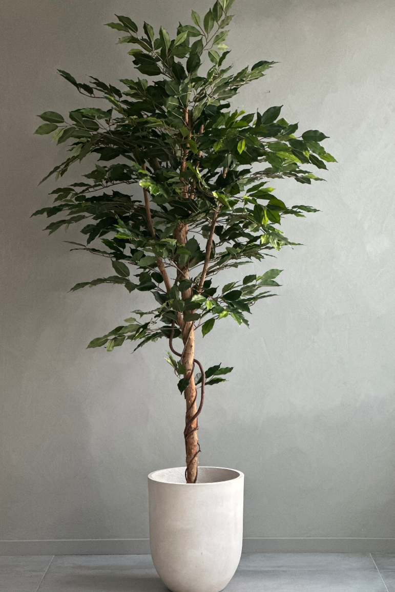 Kunstplant Ficus Groen 180 cm