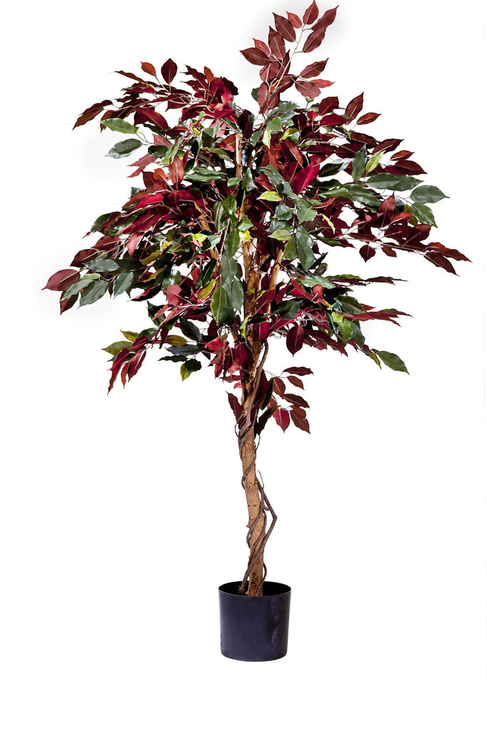 Kunstplant Ficus met groene en rode bladeren