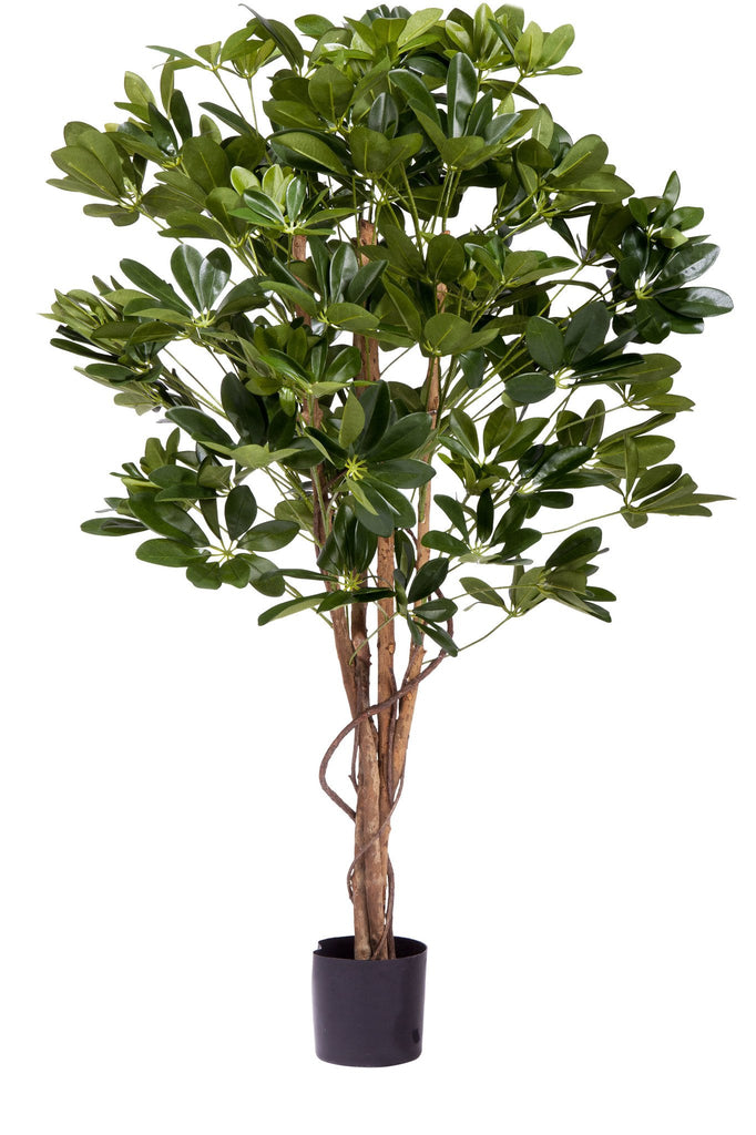 Kunstplant schefflera voor binnenhuisdecoratie