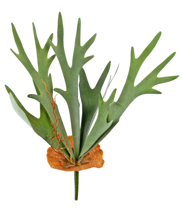 Kunstplant Staghorn 53 cm