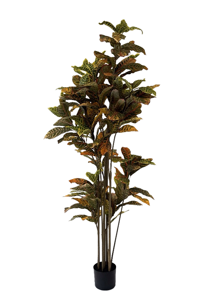 Ficus Deluxe kunstplant 180 cm
