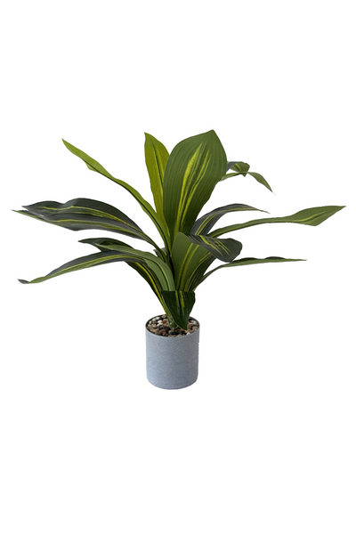 Kunstplant Agave 40cm