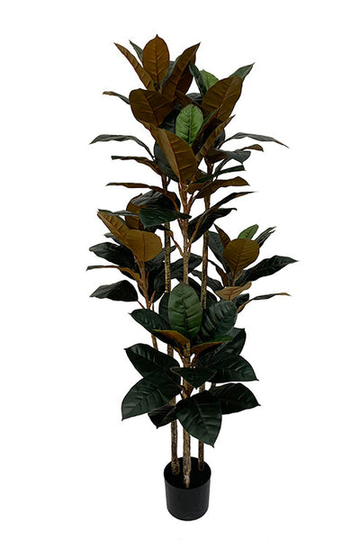 Rubberboom kunstplant 160 cm - Ficus elastica met 3 stammen