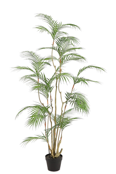 Tropische Areca palm kunstplant 160 cm