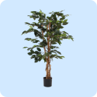 ficus-kunstplanten.png