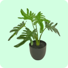 philodendron-kunstplanten.png