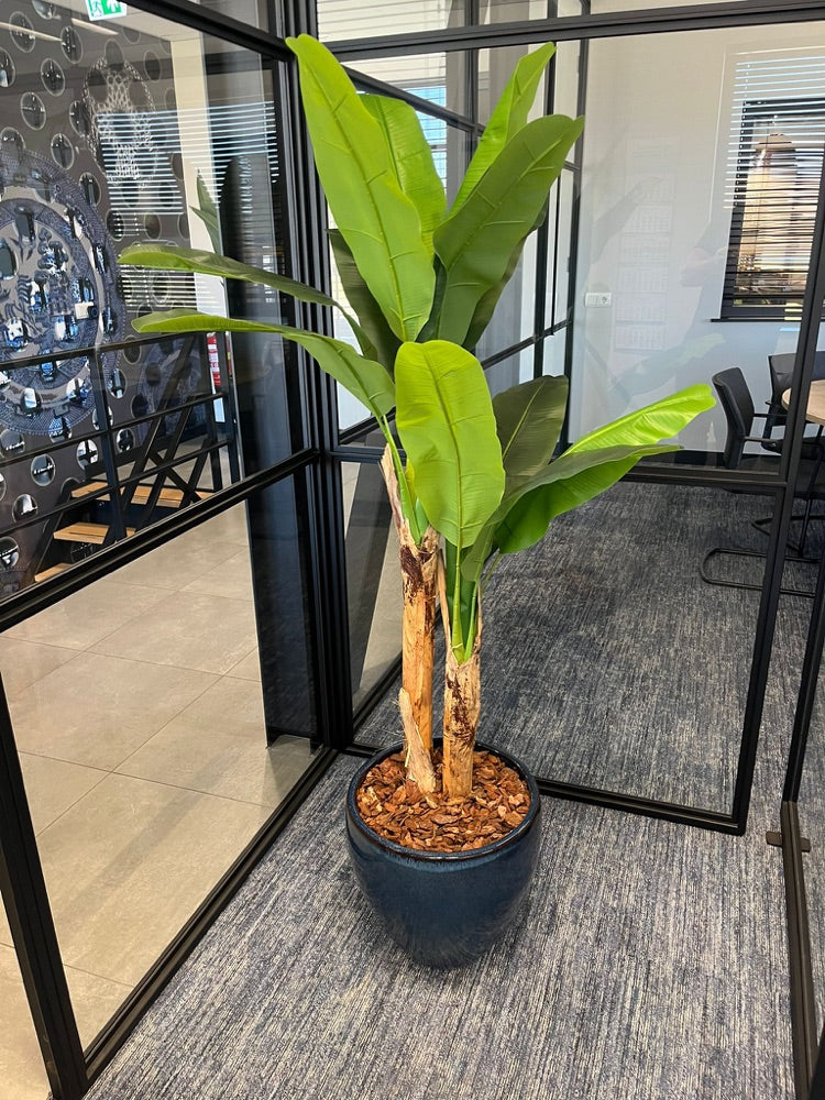 Plant in kantoorhal
