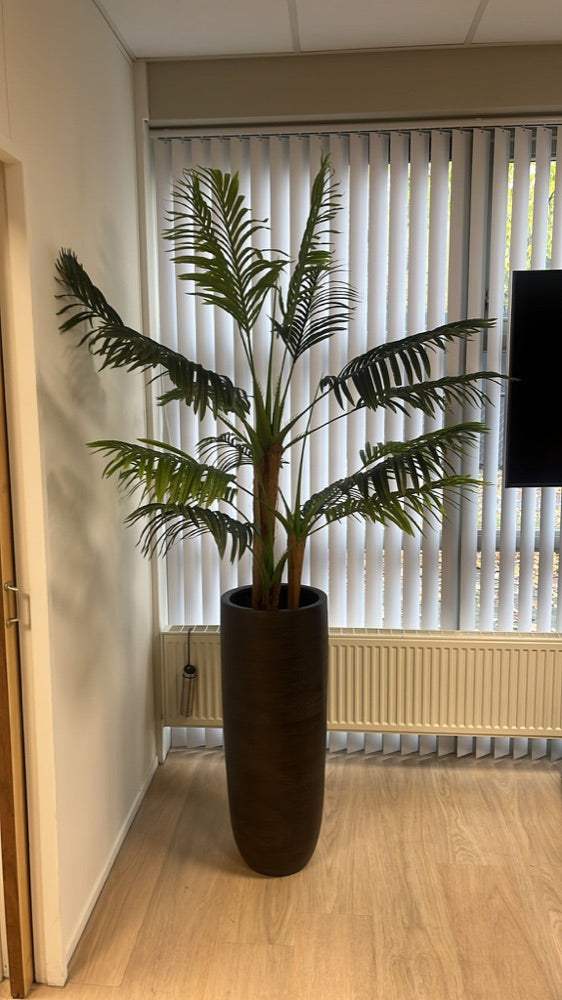 Bananenplant in kantoor