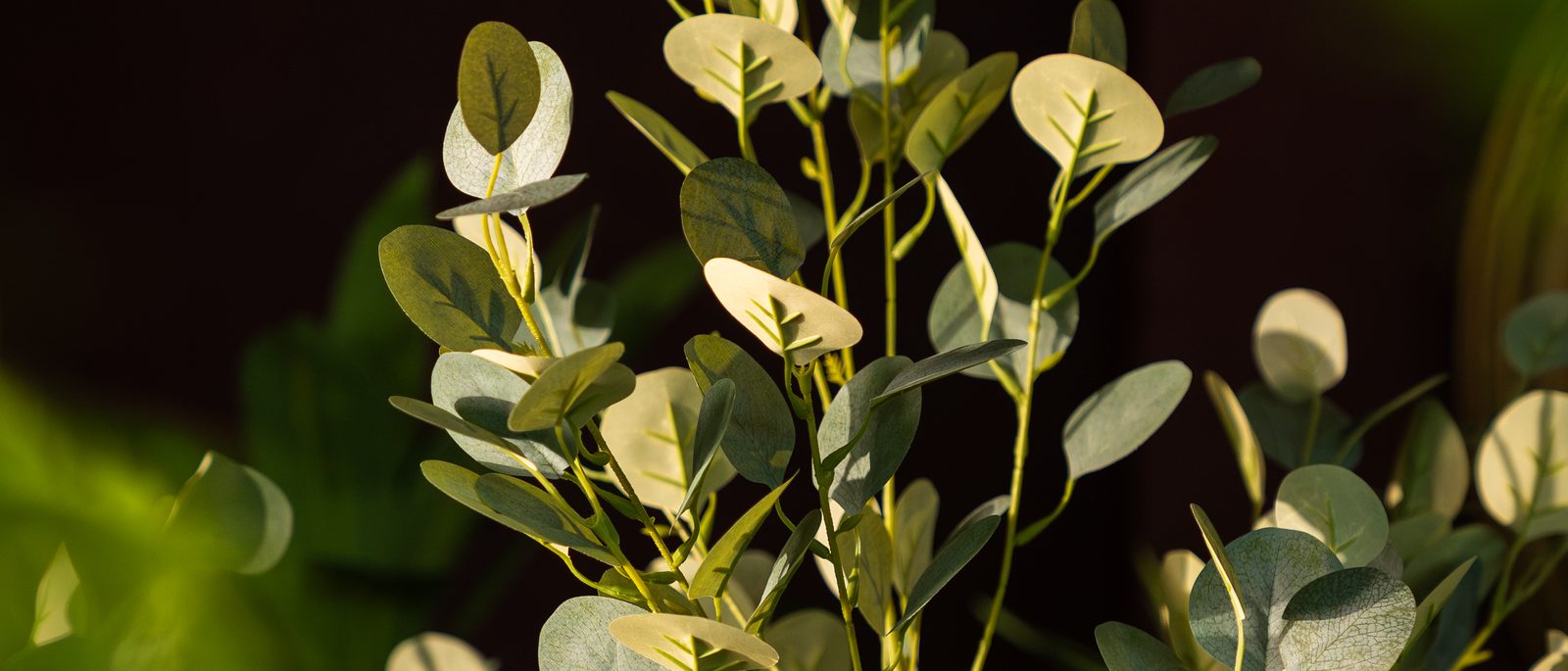 Eucalyptus kunstplant in avondlicht