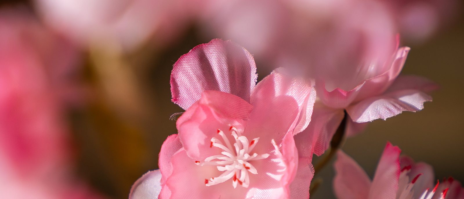 Roze kunstbloesem